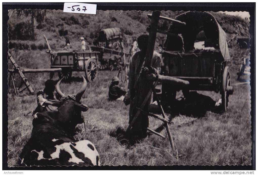 Madagascar - Mananjary (envoyée De), Vers 1957 : Campement De Charrettes (-507) - Madagascar