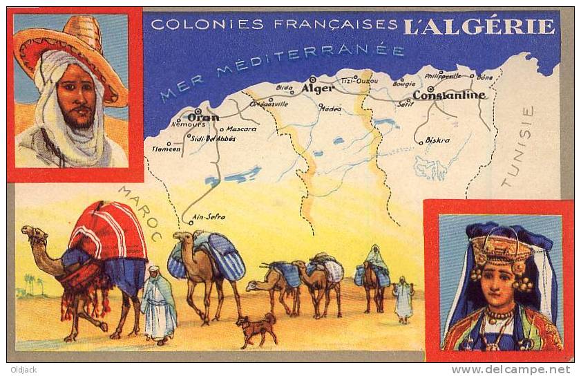 Colonies Françaises L'ALGERIE - Altri & Non Classificati