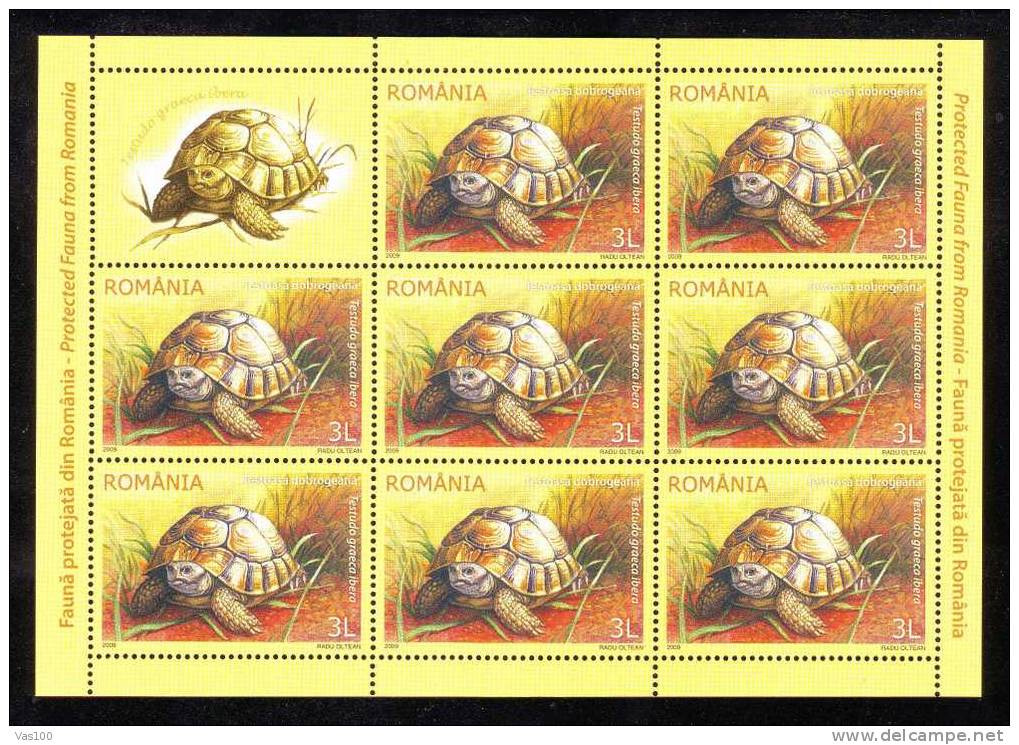Protected Fauna 2009 Greek Tortoise,Turtle M/s MNH + Labels. - Turtles
