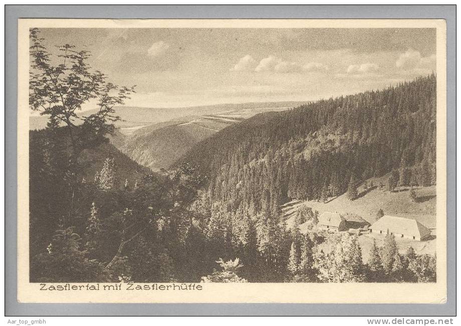 DE BW Feldberg Zasterhüte 1927-09-22 Foto Mayer&Schraderer - Feldberg