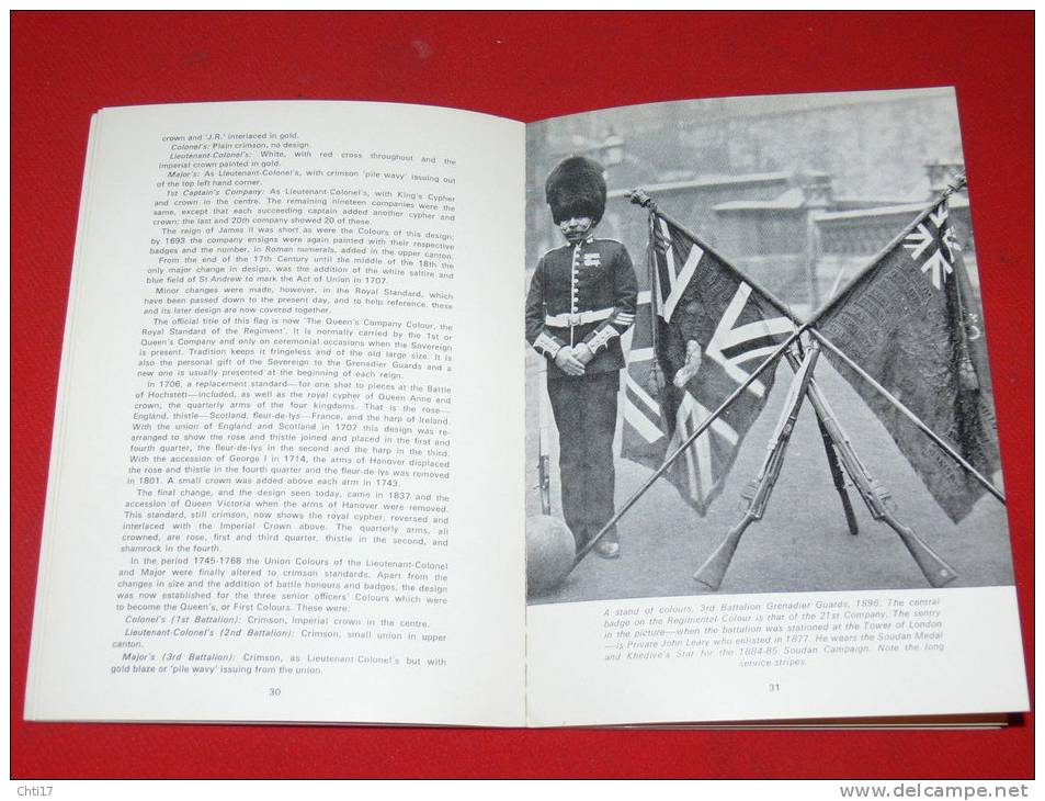 BRITISH INFANTRY COLOURS BY LEMONOFIELDES GUIDE TO REGIMENTAL BATTALION COMPANY DRAPEAUX D INFANTERIE DEPUIS 1660 - Flags