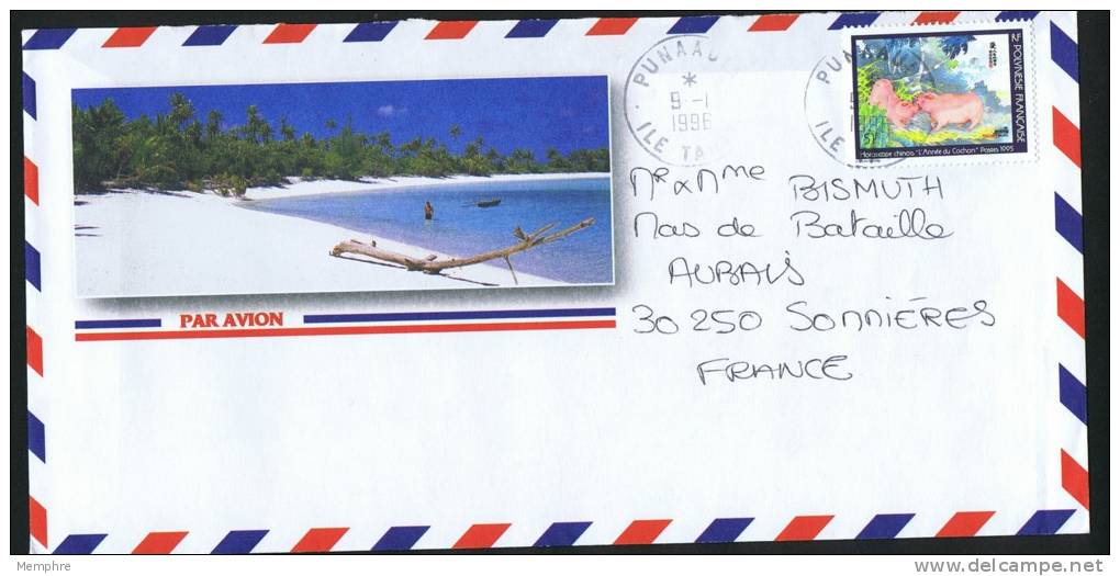 1996  Lettre Avion Pour La France   Année Du Cochon Yv 479A Variété «Sans Nom De L'imprimeur» - Storia Postale