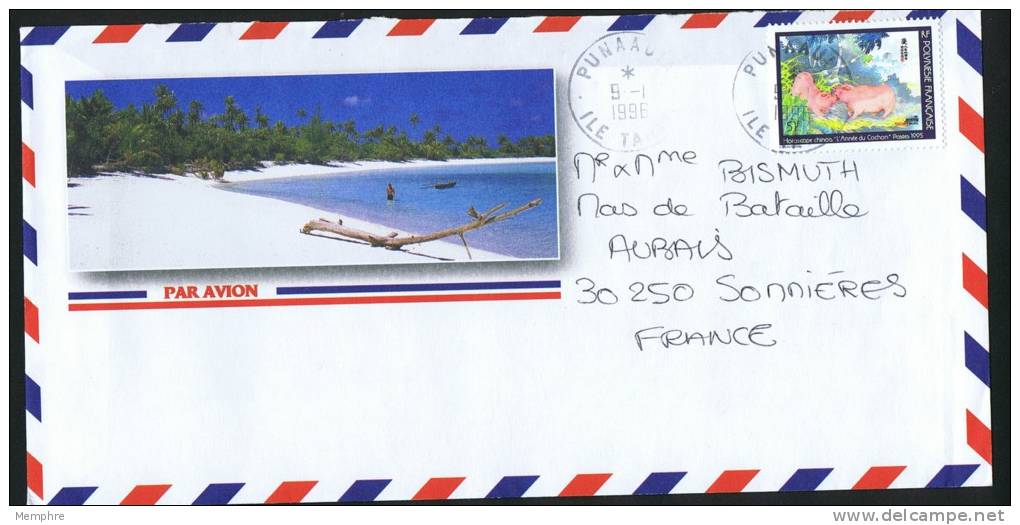 1996  Lettre Avion Pour La France   Année Du Cochon Yv 479A Variété «Sans Nom De L'imprimeur» - Lettres & Documents