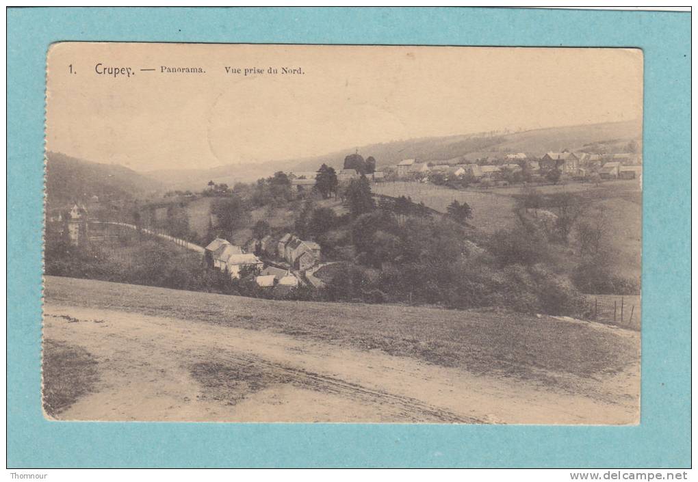 CRUPEY  -  Panorama.  Vue Prise Du Nord.  -  1920  -  BELLE CARTE - - Assesse