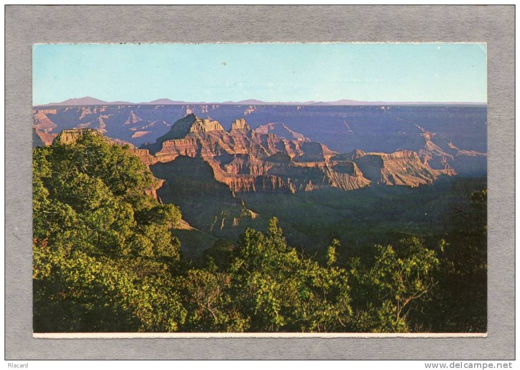 33624     Stati  Uniti,  Arizona -  Grand  Canyon  National  Park,  VG  1973 - Grand Canyon