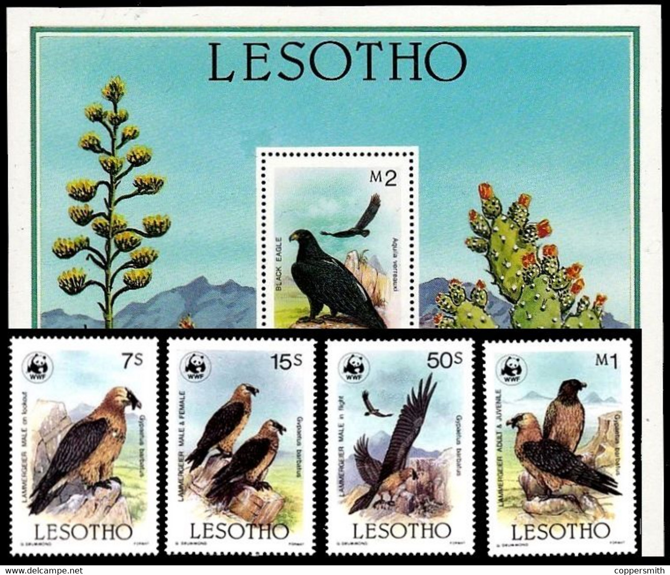 (013+20) Lesotho  Birds Of Prey / Oiseaux Rapaces / Greifvögel / Roofvogels   ** / Mnh  Michel 556-59 + BL 30 - Lesotho (1966-...)