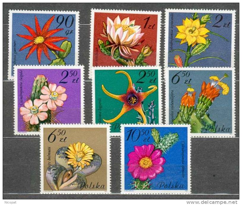 Neuf ** 2599-2606 FLORE, FLEURS DE CACTUS - Ungebraucht