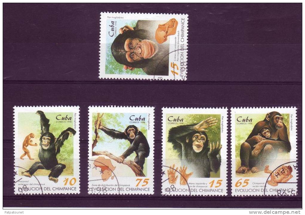 Cuba YV 3713/7 O 1998 Chimpanzés - Chimpanzés