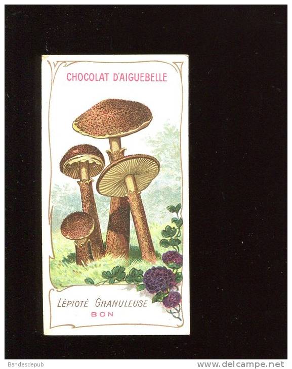 AIGUEBELLE CHROMO DIDACTIQUE CHAMPIGNON BON OU MAUVAIS TEXTE EXPLICATIF AU DOS - Aiguebelle