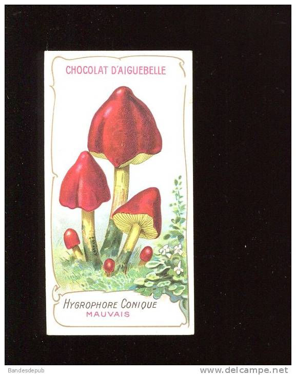 AIGUEBELLE CHROMO DIDACTIQUE CHAMPIGNON BON OU MAUVAIS TEXTE EXPLICATIF AU DOS - Aiguebelle