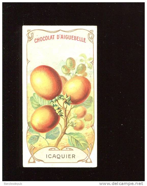 AIGUEBELLE CHROMO DIDACTIQUE FRUIT ICAQUIER ANTILLES TEXTE EXPLICATIF AU DOS - Aiguebelle