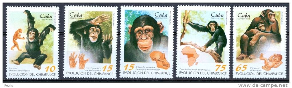 Cuba 1996 Evolution Of The Chimpanzee MNH** - Lot. 1372 - Chimpanzees