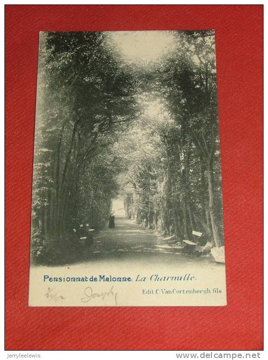 MALONNE  - La Charmille  - Pensionnat De Malonne    -  1902 - Floreffe