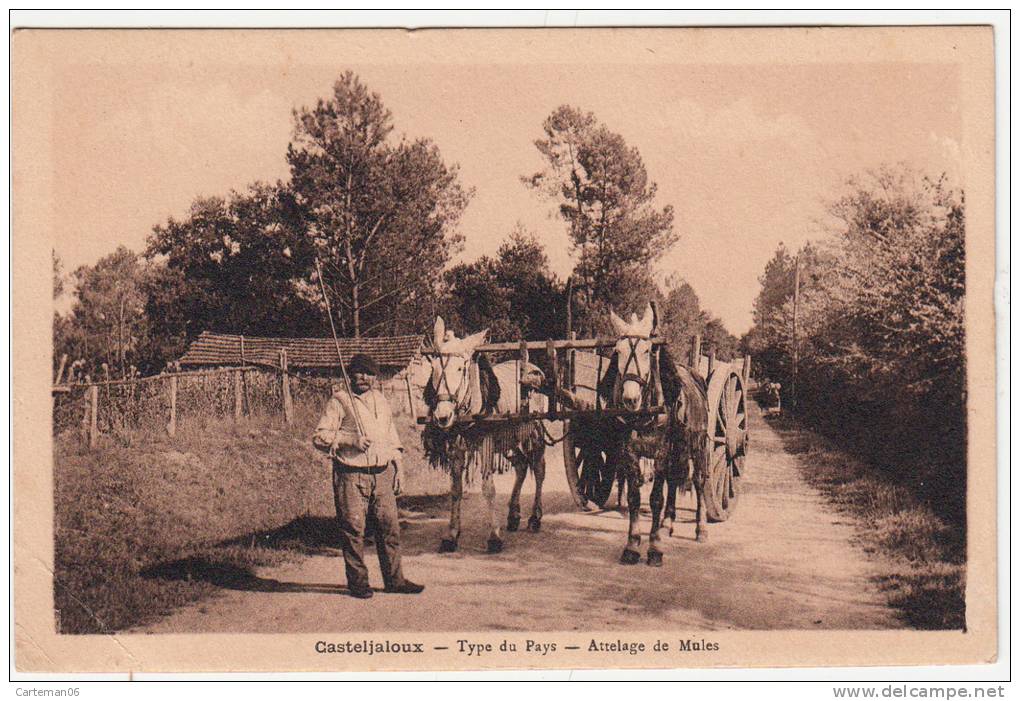 47 - Casteljaloux - Type Du Pays - Attelage De Mules - Editeur: Duberger - Casteljaloux