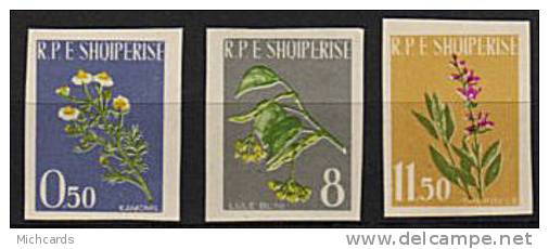 ALBANIE 1962 - Plantes Medicinales - Série Neuve Non Dentelée Sans Charniere (Yver 573/75) - Albania