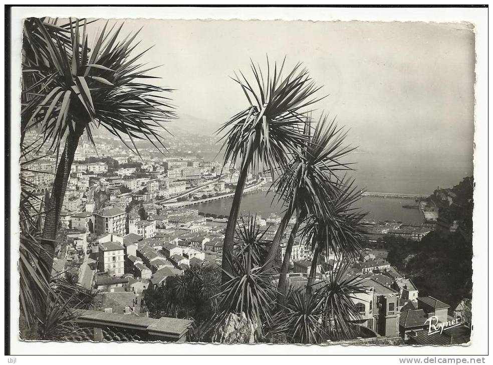 MONTE CARLO ( MONACO ) , Vue Prise Du Jardin Exotique , 1950 - La Condamine