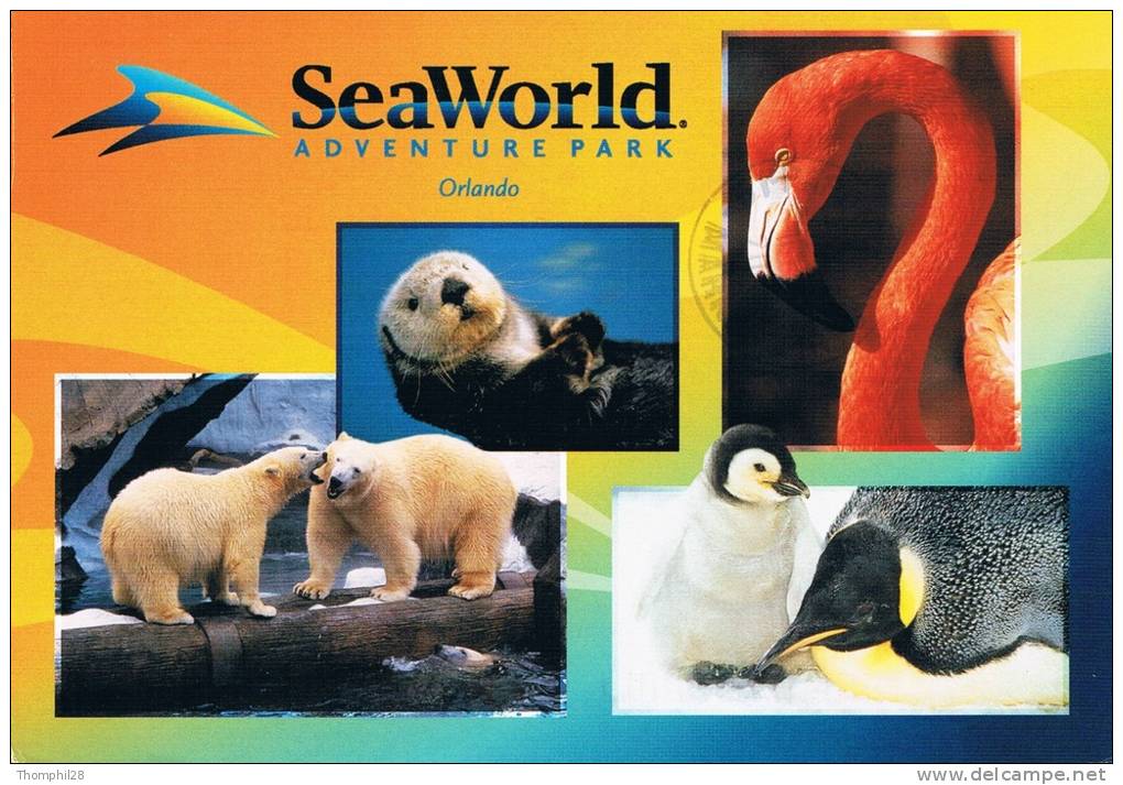 SEAWORLD - ADVENTURE PARK - ORLANDO - Ours Blancs / Loutre / Pingouins / Flamant Rose - 2 Scans - Orlando