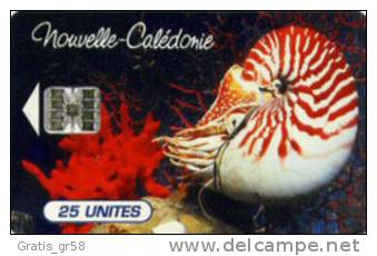 New Caledonia - NC-038, Nautile De L'aquarium, 1/96, 120000ex, Used - Neukaledonien