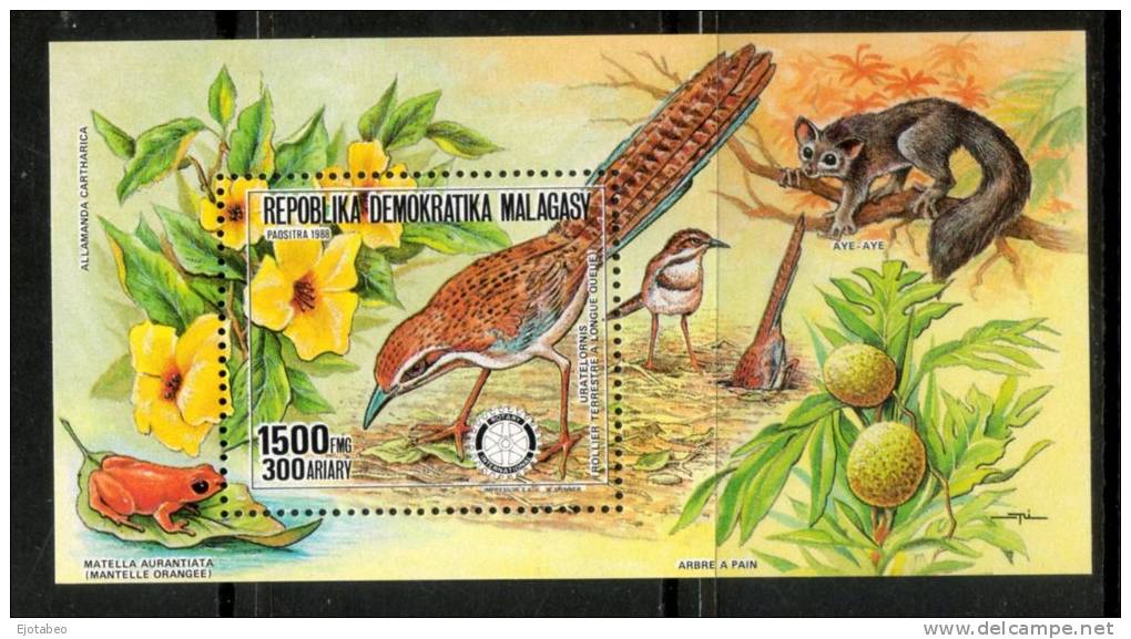 1 MADAGASKAR -1988-TT:Flora Y Fauna:Pájaros,Ranas,Anima Les,flores,Frutos - Madagascar (1960-...)