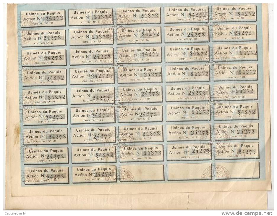 USINES DU PAQUIS MEZIERES (CHARLEVILLE) ACTION DE 100 FRANCS AU PORTEUR MARS 1921 ARDENNES 08 - Other & Unclassified