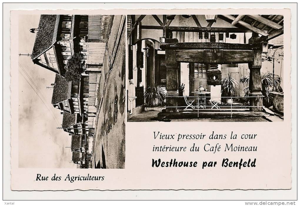Westhouse Par Benfeld - Double Vues Vieux Pressoir Cour Intérieure Du Café Moineau - Rue Des Agriculteurs - Dos Vierge - Benfeld