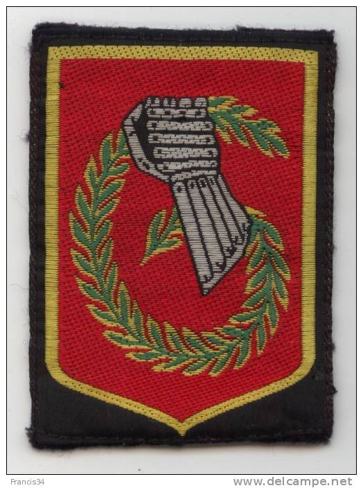 Insigne De La 6e Brigade Légère Blindée Du 1er Régiment Etranger De Cavalerie - Scudetti In Tela