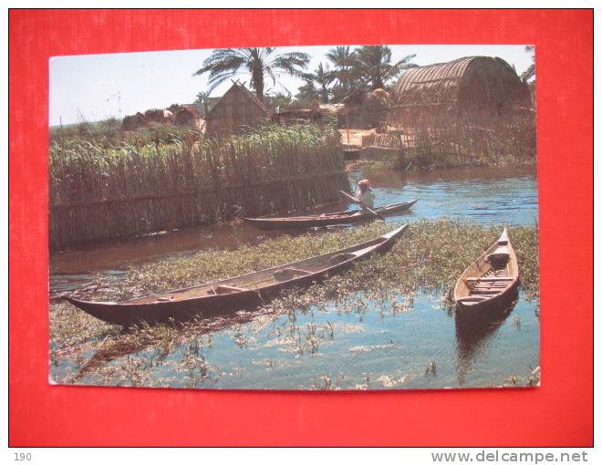 Al-Hammar Lagoon-South Of Iraq - Iraq