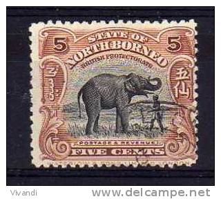 North Borneo - 1925 - 5 Cents Elephant (Perf 12&frac12;) - Postally Used - Noord Borneo (...-1963)