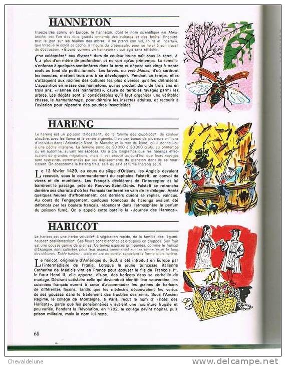 [ENFANTINA]  J. GABALDA Et R. BEAULIEU : JE SAIS TOUT SUR LES ANIMAUX ET LES PLANTES  - ILLUSTRATIONS DE P. PROBST  1975 - Hachette