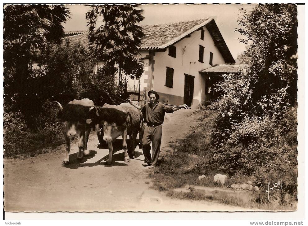 Pays Basque, Ferme Et Attelage Basques. - Otros