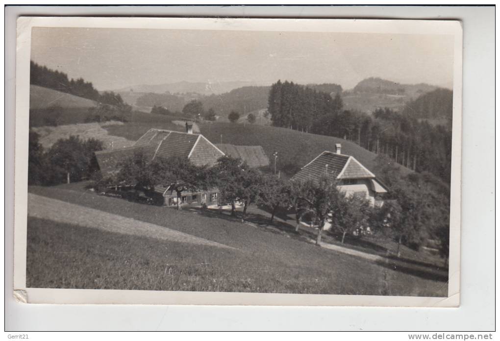 BÖHMEN & MÄHREN, ROTHENBAUM - CERVENE DREVO, Nach Dem 2.Weltkrieg Zerstört, Photo-AK - Sudeten