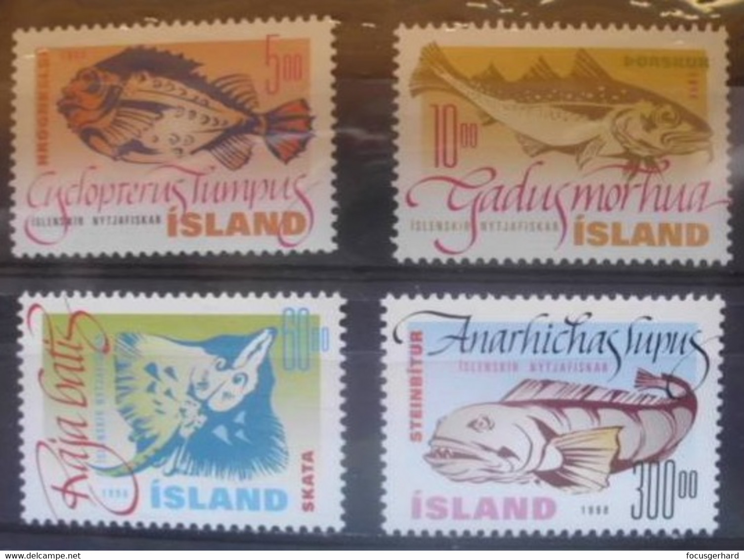 Island   Fische  1998   ** - Unused Stamps