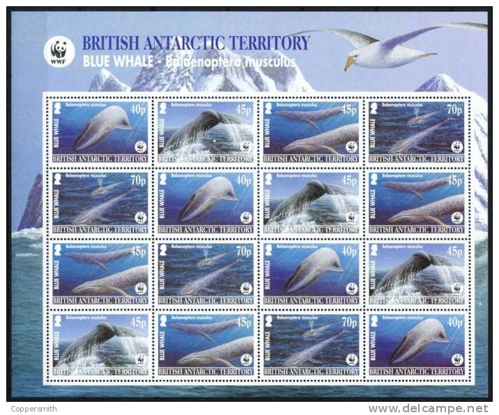 (079) BAT / Brit. Antarctics  WWF  Sheetlet / Feuillet / Bogen / Whales / Baleines / Wale  ** / Mnh  Michel 353-56 BO - Other & Unclassified