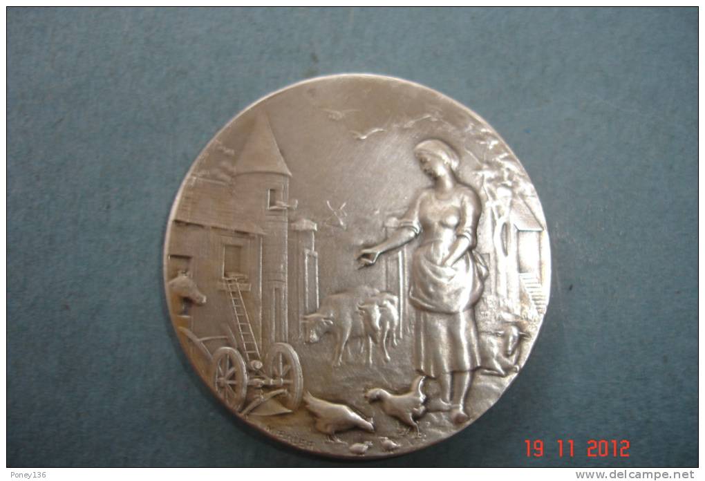 Médaille Comice Agricole ,St Jean D'Angely1985,Argent Diamètre:3,7 Cms  Poids 23,2grs  Signée Baüer -Lagrange . - Professionals/Firms