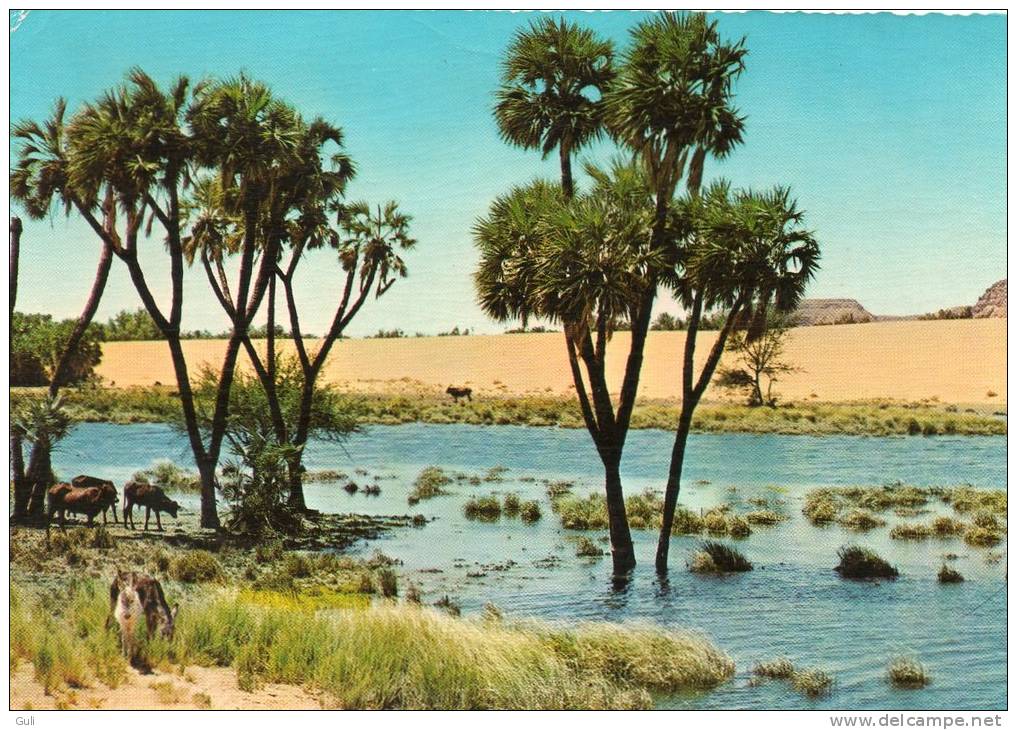 AFRIQUE EGYPTE -Nubia Nile View, Nubie Vue Près Du Nil ( Nubien) (timbre Décollé-Editions : KRUGER 749 / 20 )*PRIX FIXE - Autres & Non Classés