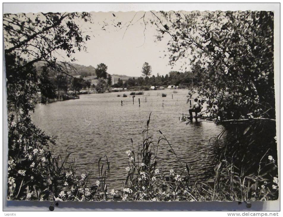 Carte Très Peu Courante - 60 - Attichy - Vue Sur L'Etang - Scan Recto-verso - Attichy