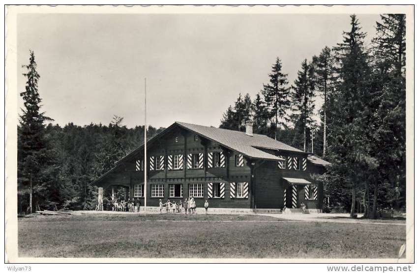 PULLY - Chalet Communal Du Bois Du Moulin - Pully