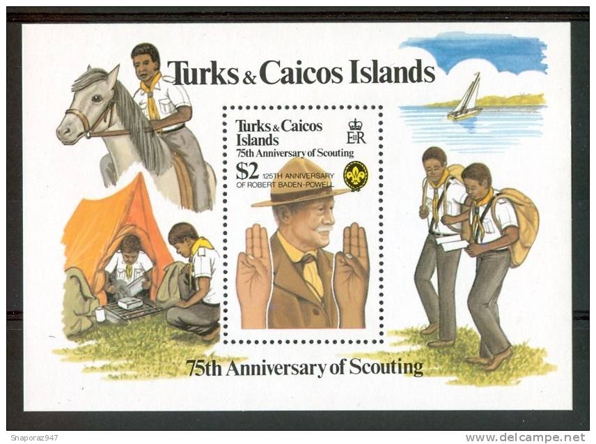 1982 Turks E Caicos Scout Scoutisme Scouting Block MNH**-Sc3 - Nuevos