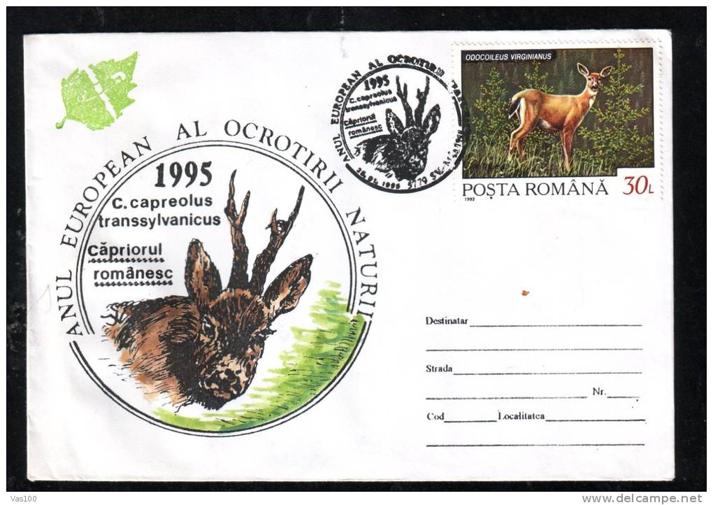 DEER,SPECIAL COVER,1994,ROMANIA - Animalez De Caza