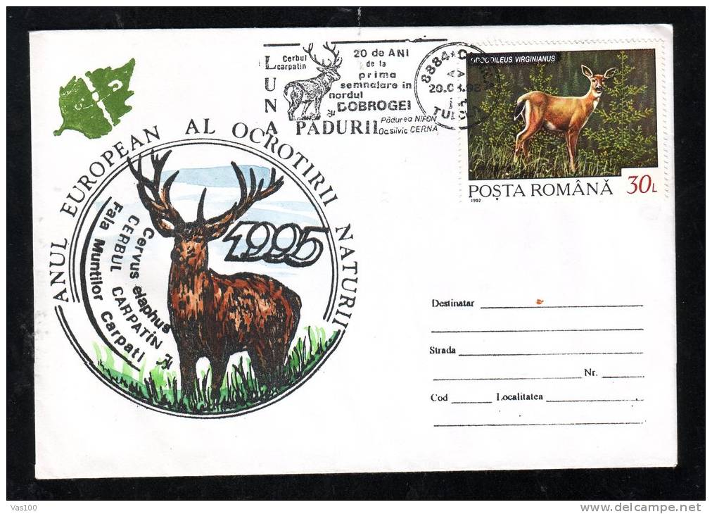 ROMAINIAN DEER,SPECIAL COVER,1995,ROMANIA - Gibier