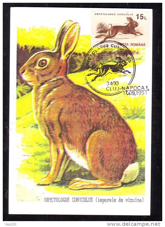 LAPINS,RABBIT,CM,MAXICARD ,CARTES MAXIMUM,1993,ROMANIA - Rabbits