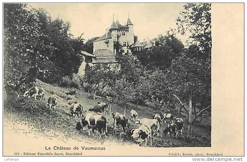 SUISSE- Ref B1002- Le Chateau De Vaumarcus - Plan Vaches  - Carte Bon Etat - Vaumarcus
