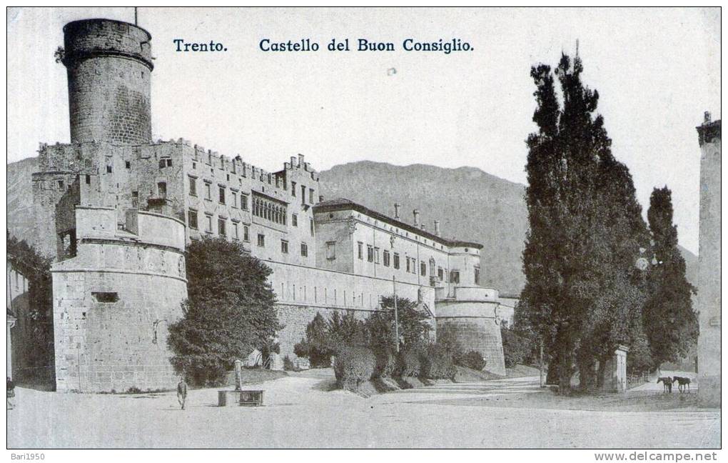 Bellissima Cartolina D'epoca   " Trento - Castello Del Buon Consiglio " - Trento