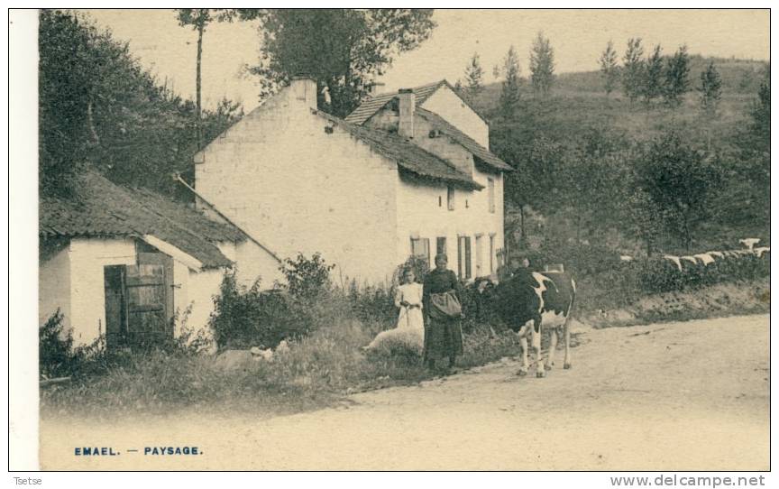 Emael - Paysanne Et Sa Vache Et Masure -1908 ( Voir Verso ) - Bassenge