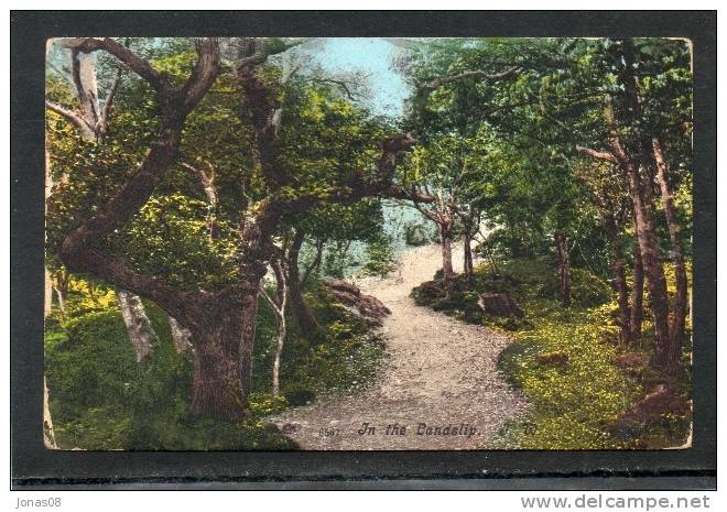 BEDFORD - IN THE LANDSLIP     ~ 1910 - Andere & Zonder Classificatie