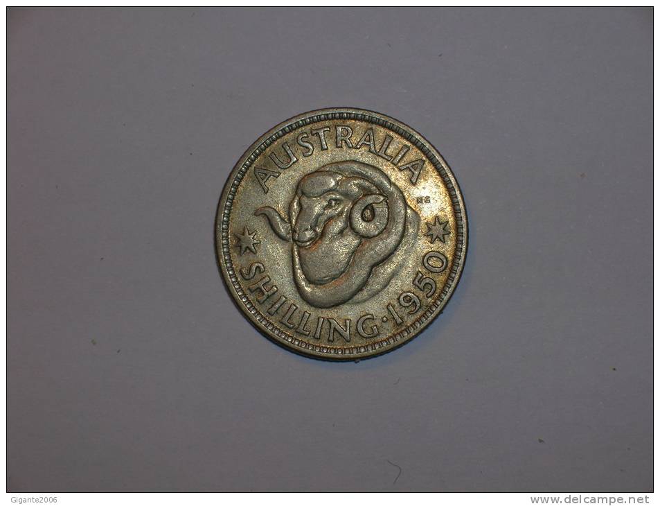 Australia 1 Shilling 1950 (m)  (4490) - Shilling