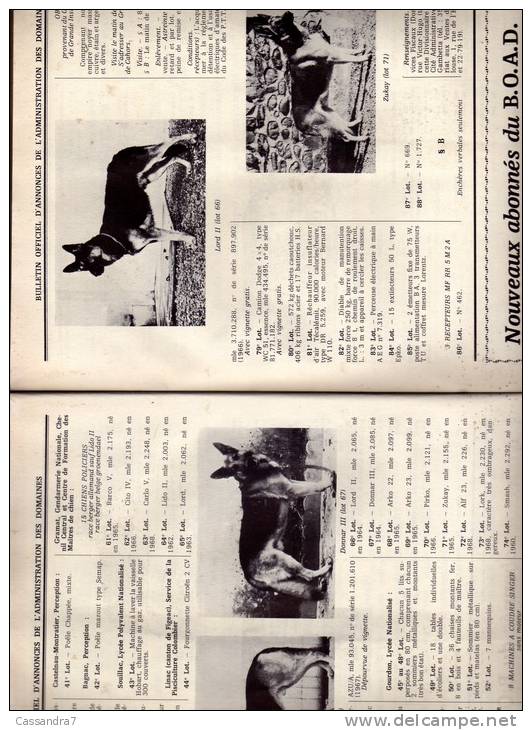 Bulletin Officiel Annonces Administration Domaines-n555-vedette à Rouen-Lion/mer-car renault et chausson-Gramat,chiens