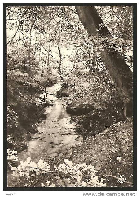 BELGIE BELGIQUE Zutendaal Roelen Limburg 1973 - Zutendaal