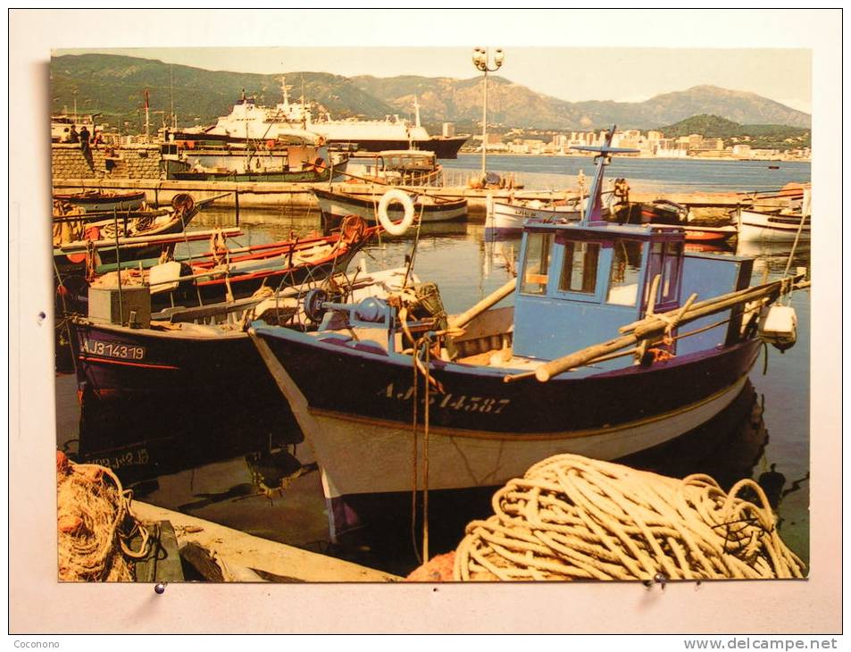 Ajaccio - Le Port - Ajaccio