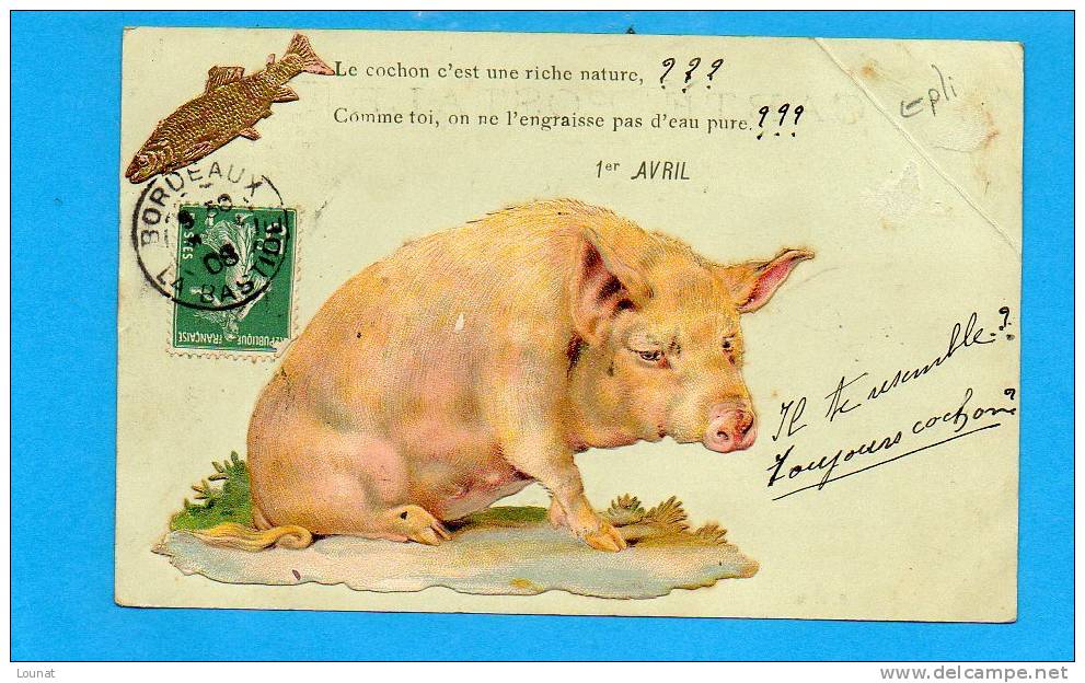 Le Cochon C'est Une Richenature - Comme Toi , On Ne L'engraisse Aps D'eau Pure - Fête 1er Avril (en L´état : Pli Coin ) - Cochons